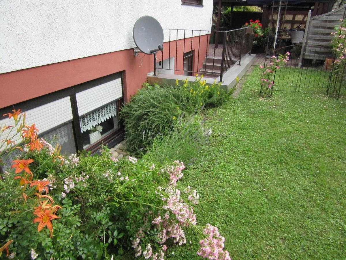 Apartment Benz-boch Lahr (Baden-Wurttemberg)